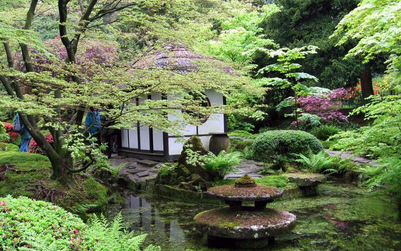 Japanese garden with pond and hut