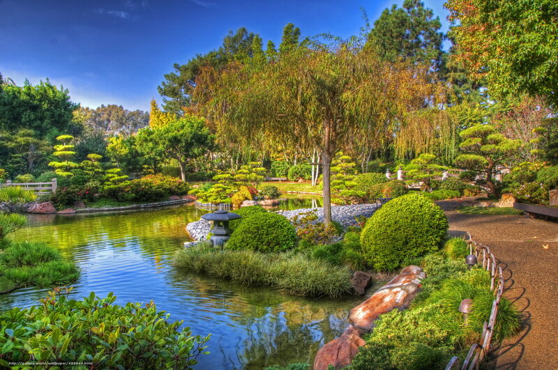 Japanese garden with pond and lantern