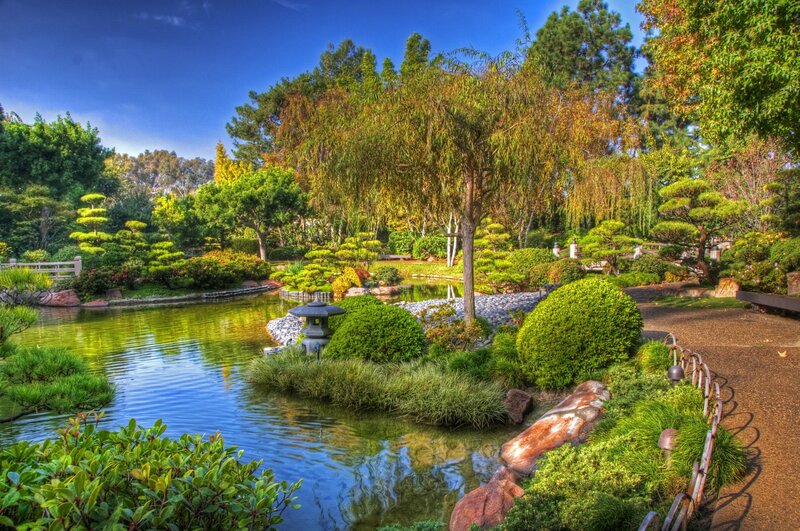 Japanese garden with pond and lantern