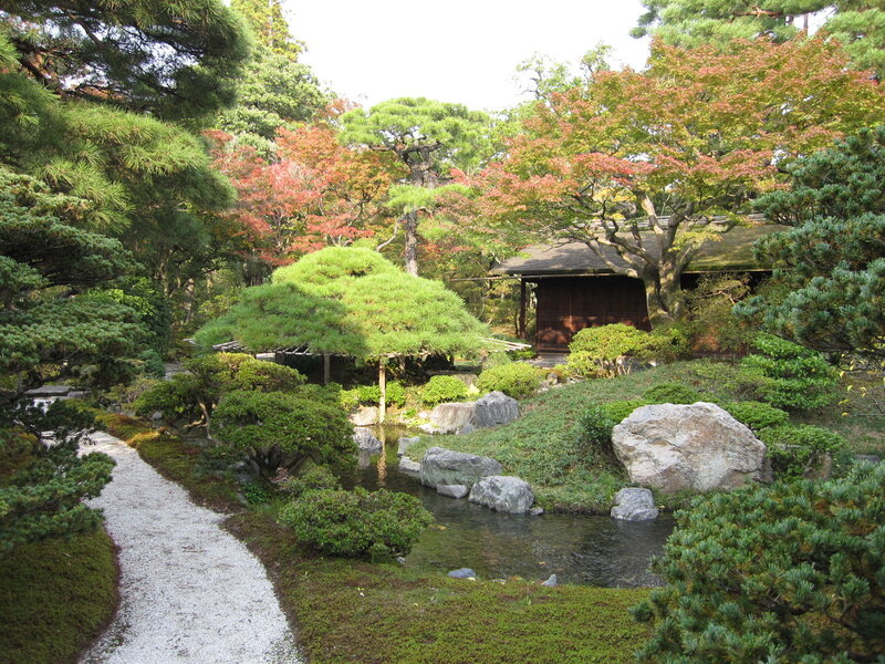 Japanese garden with pond and maple trees