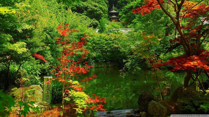 Japanese garden with pond and pagoda