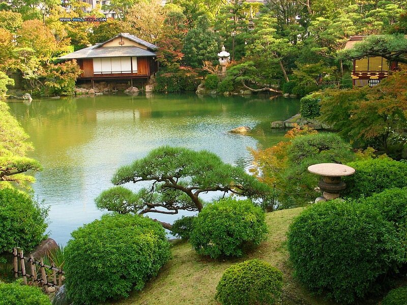 Japanese garden with pond and pavilion