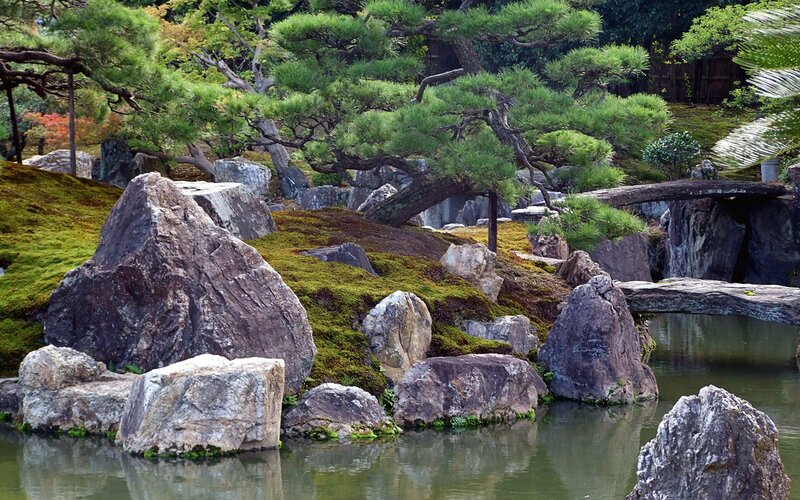 Japanese garden with pond and rocks