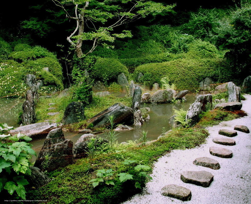 Japanese garden with pond and stones