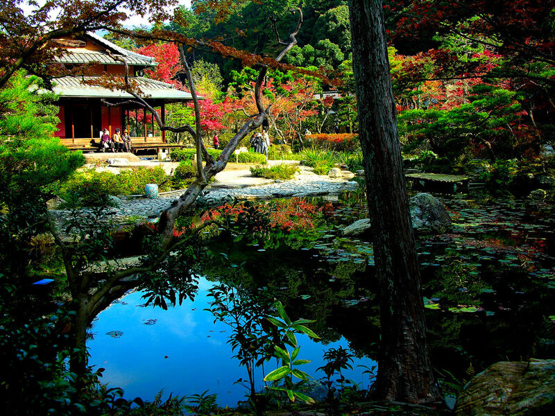 Japanese garden with pond and temple
