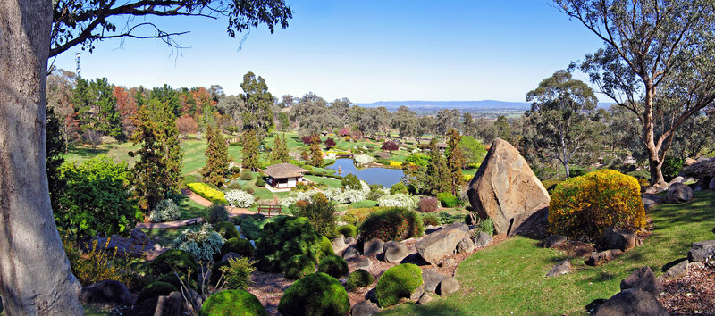 Japanese garden with pond and trees