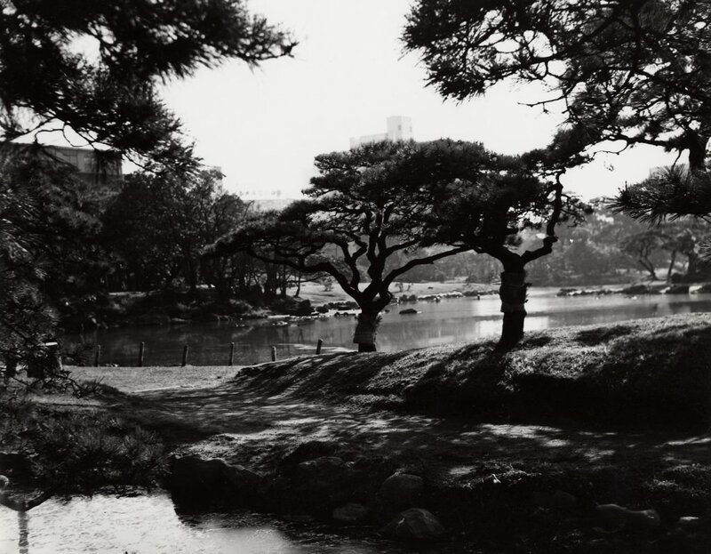 Japanese garden with pond and trees