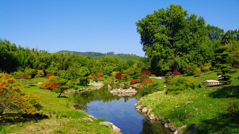 Japanese garden with pond and trees