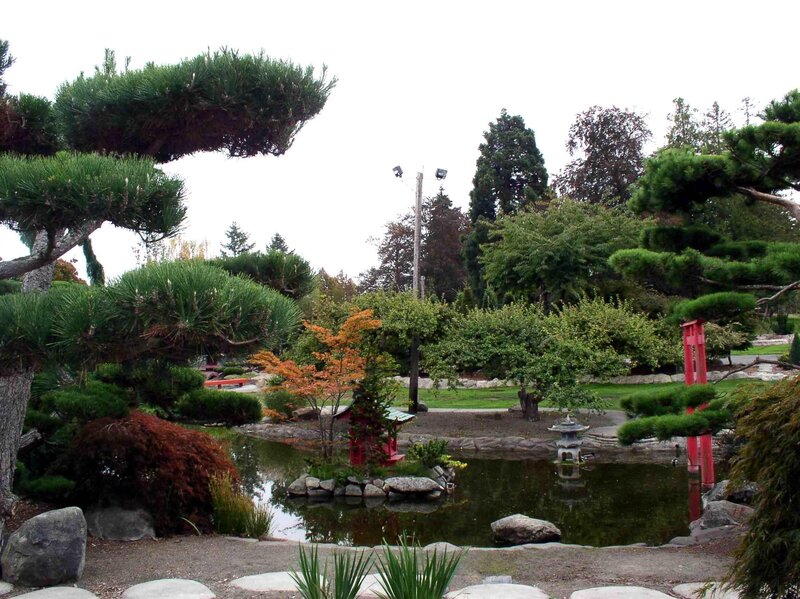 Japanese garden with pond and trees