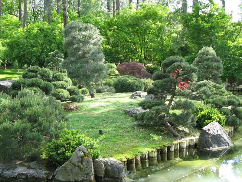 Japanese garden with pond and trees