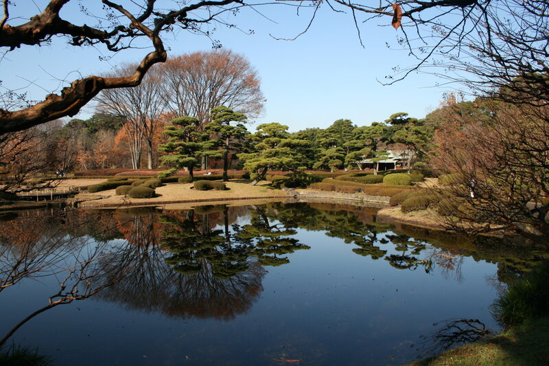 Japanese garden with pond and trees