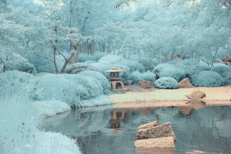 Japanese Garden with Pond — Blue, Serene, Photograph