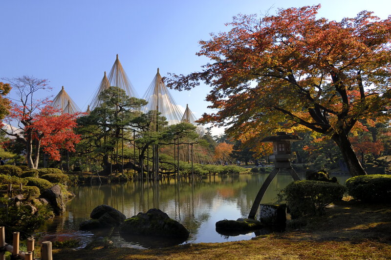Japanese Garden with Pond — Blue, Serene