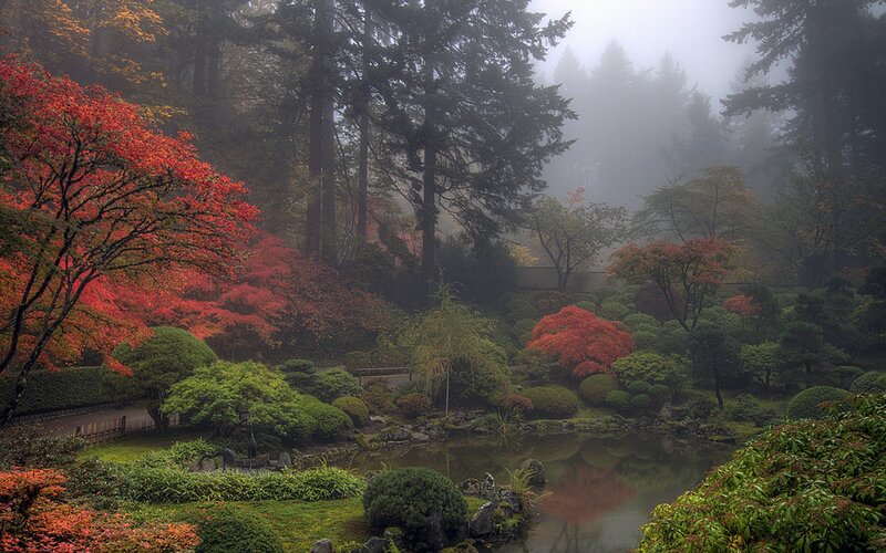 Japanese Garden with Pond — Green, Serene, Autumn, Photograph, Trees, Fog