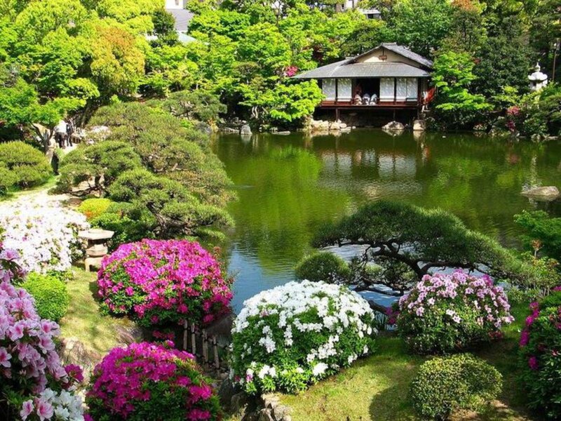 Japanese Garden with Pond — Green, Serene, Spring, Photograph