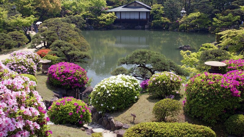 Japanese Garden with Pond — Green, Serene, Spring, Photograph, Trees