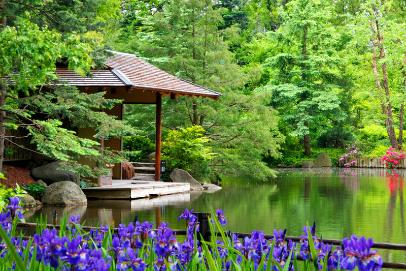 Japanese Garden with Pond — Green, Serene, Summer, Photograph