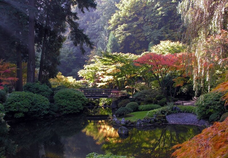 Japanese Garden with Pond — Green