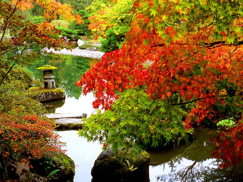 Japanese Garden with Pond — Red, Serene