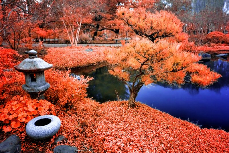 Japanese Garden with Pond — Red