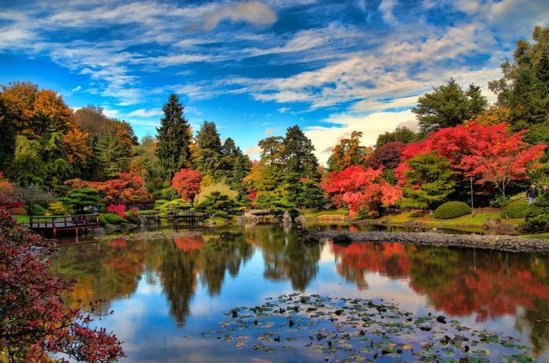 Japanese Garden with Pond