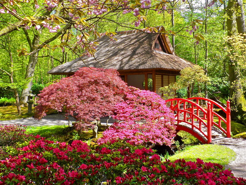 Japanese Garden with Red Bridge — Green