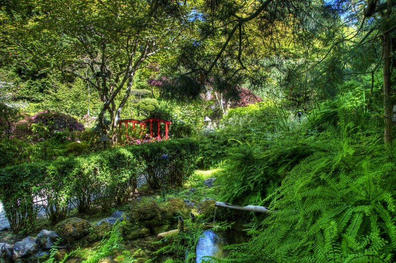 Japanese garden with red bridge
