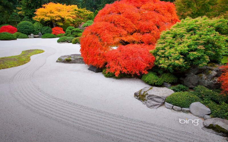 Japanese garden with red maple