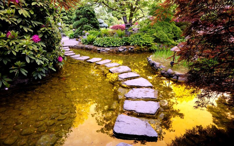 Japanese garden with stepping stones