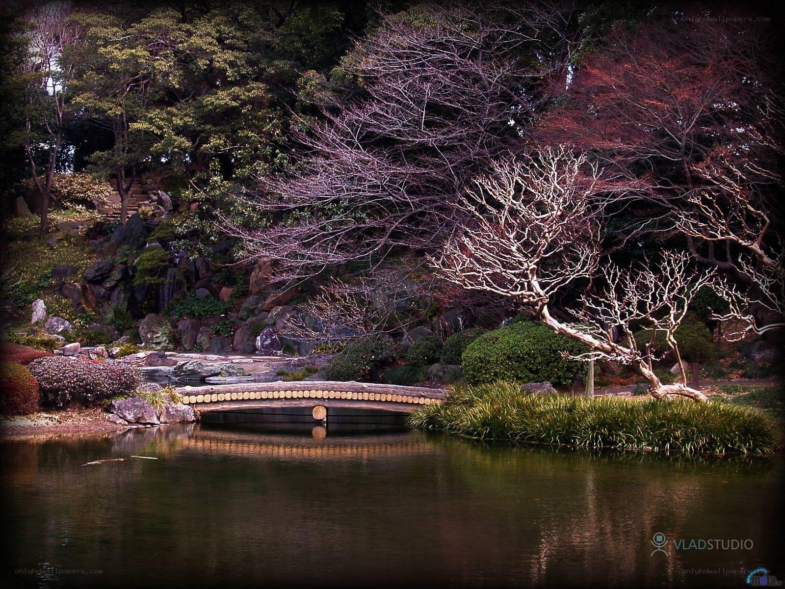 Japanese garden with stone bridge