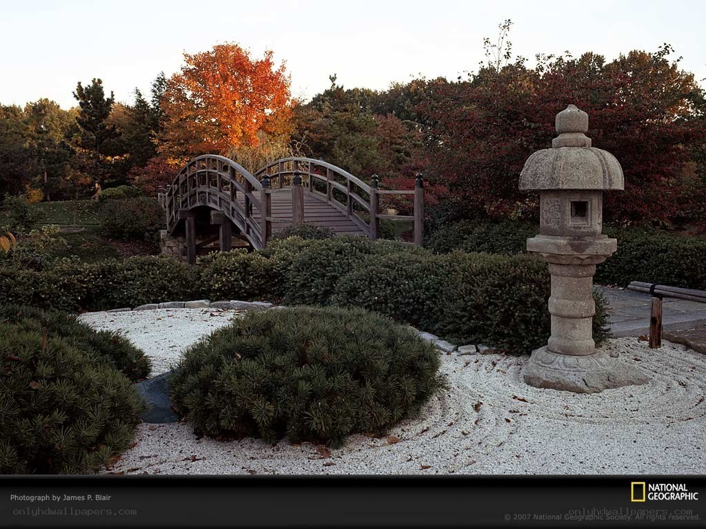 Japanese garden with stone lantern