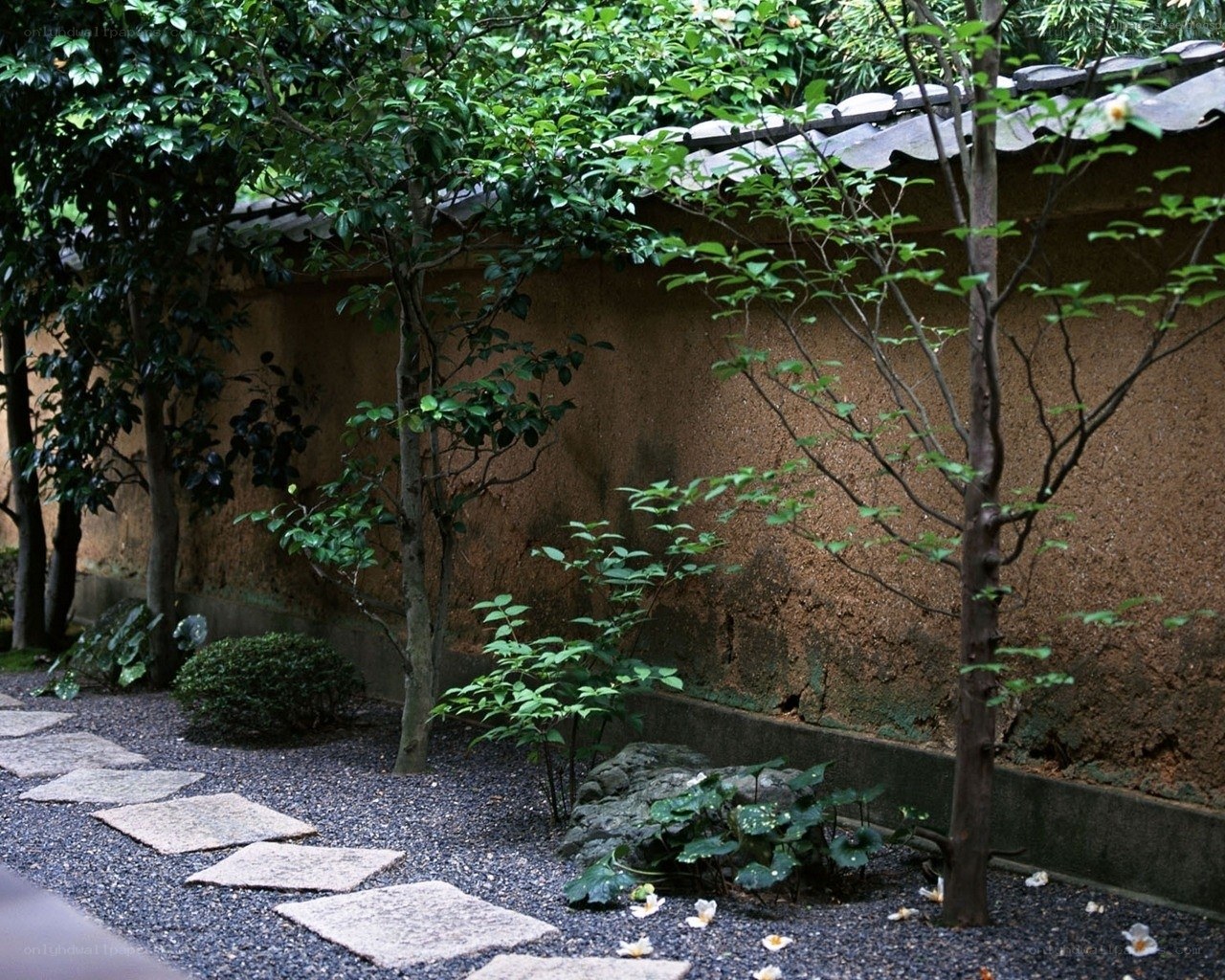 Japanese garden with stone path