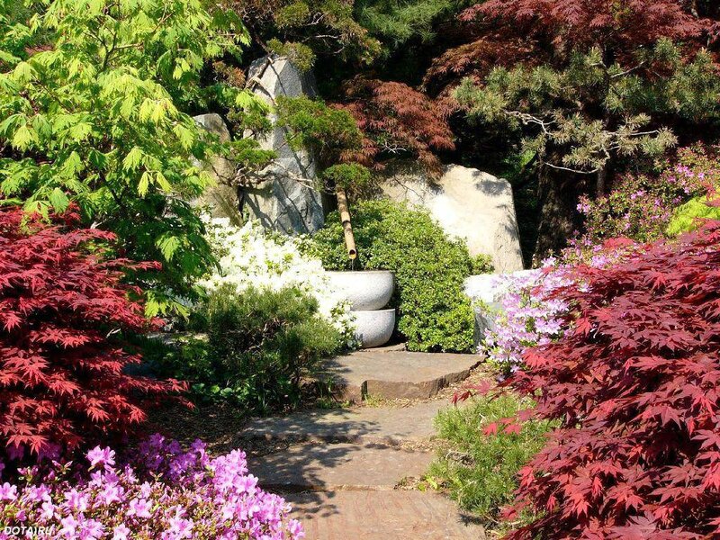 Japanese Garden with Stone Path — Green