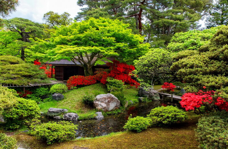 Japanese Garden with Stream — Green, Serene, Spring
