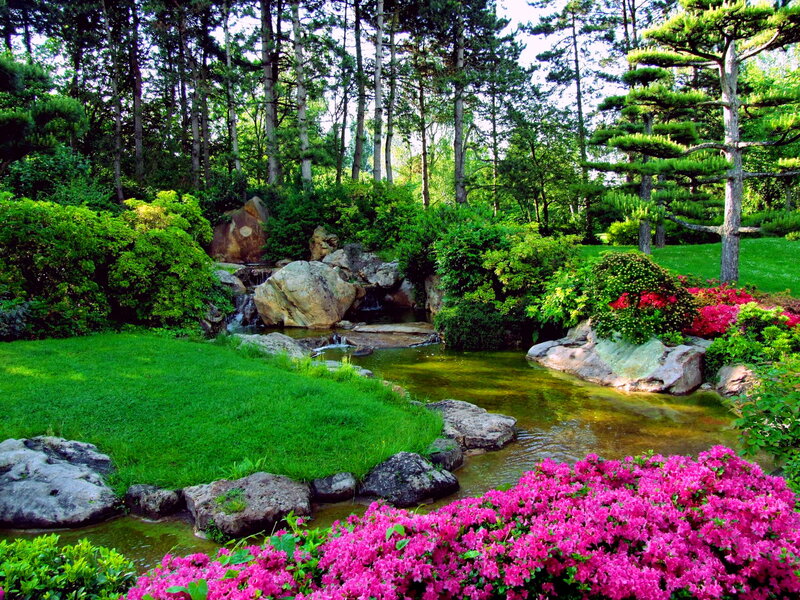 Japanese Garden with Stream — Green, Serene