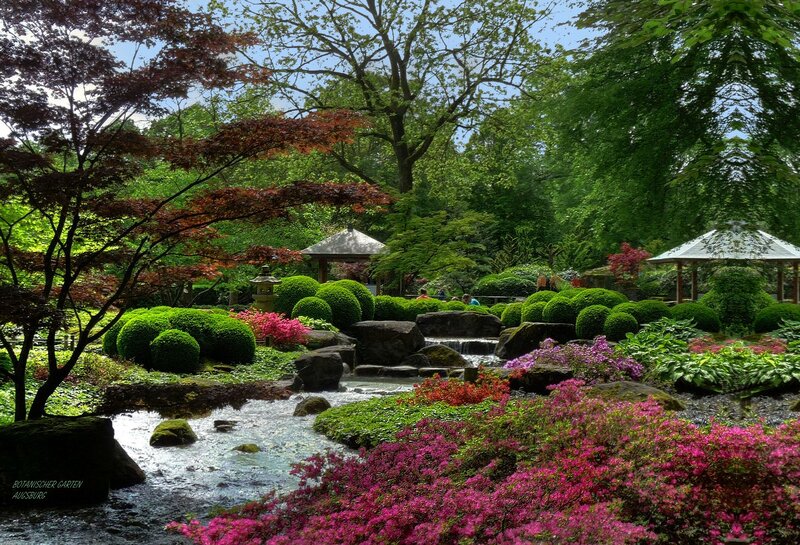 Japanese Garden with Stream