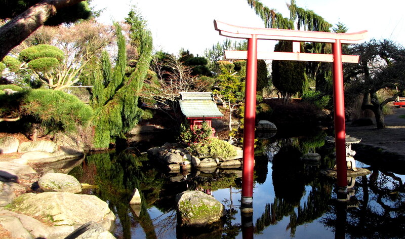 Japanese garden with torii gate