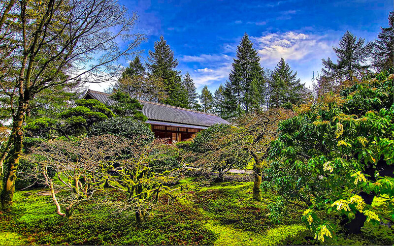 Japanese garden with traditional building