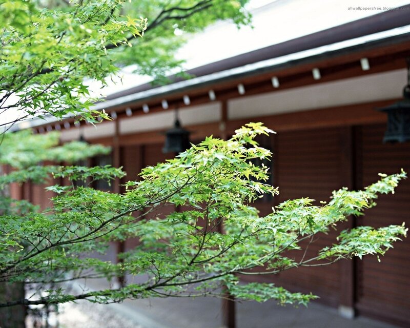 Japanese garden with traditional building