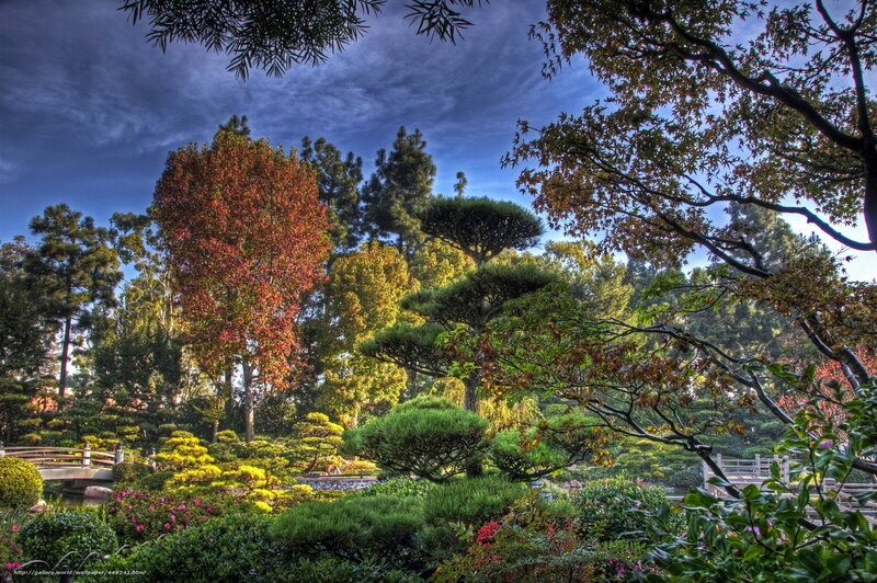 Japanese Garden with Trees — Green