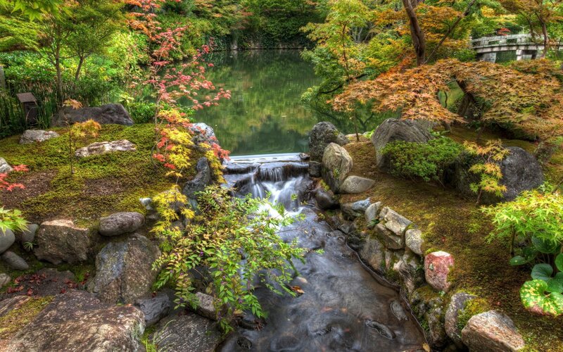 Japanese garden with waterfall