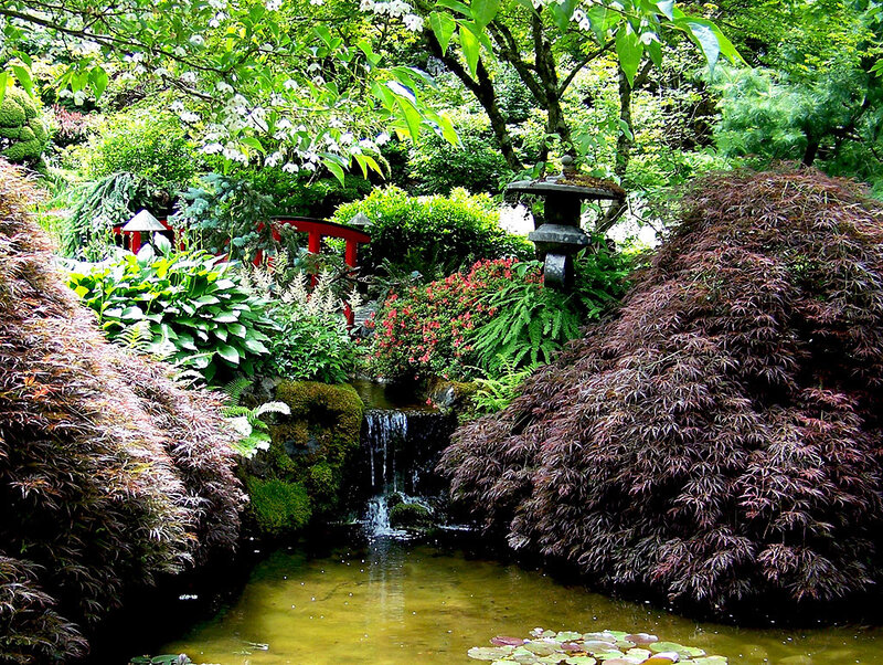 Japanese garden with waterfall