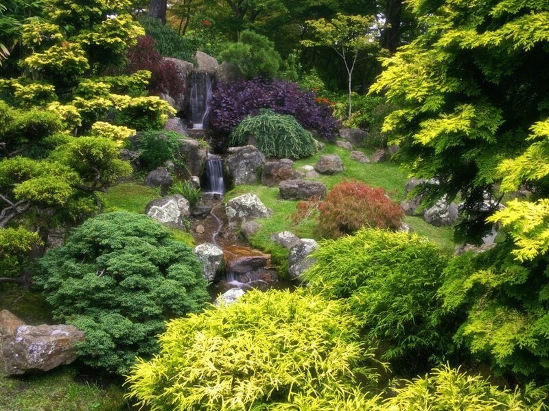 Japanese garden with waterfall