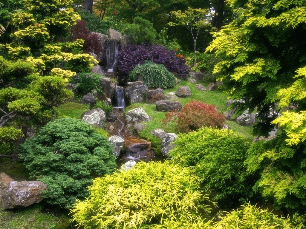 Japanese garden with waterfall