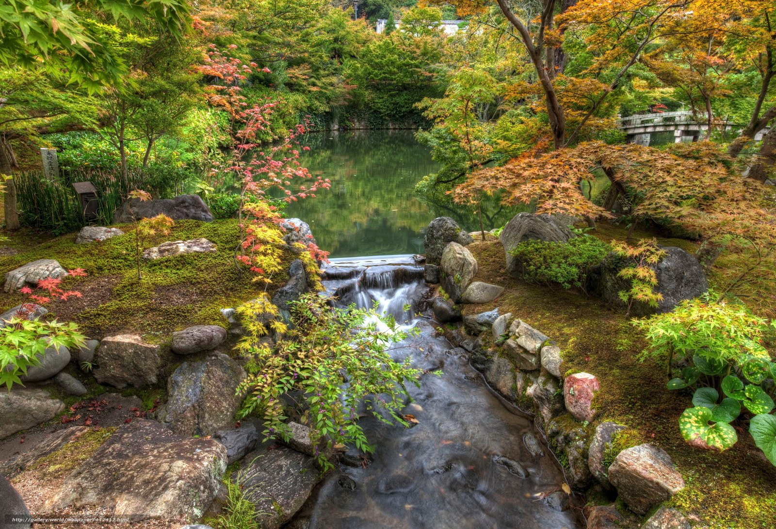 Japanese garden with waterfall
