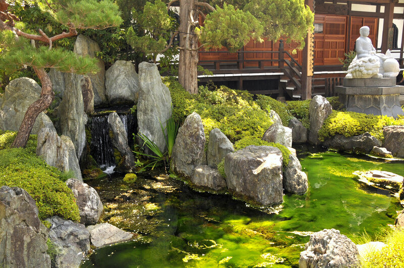Japanese garden with waterfall