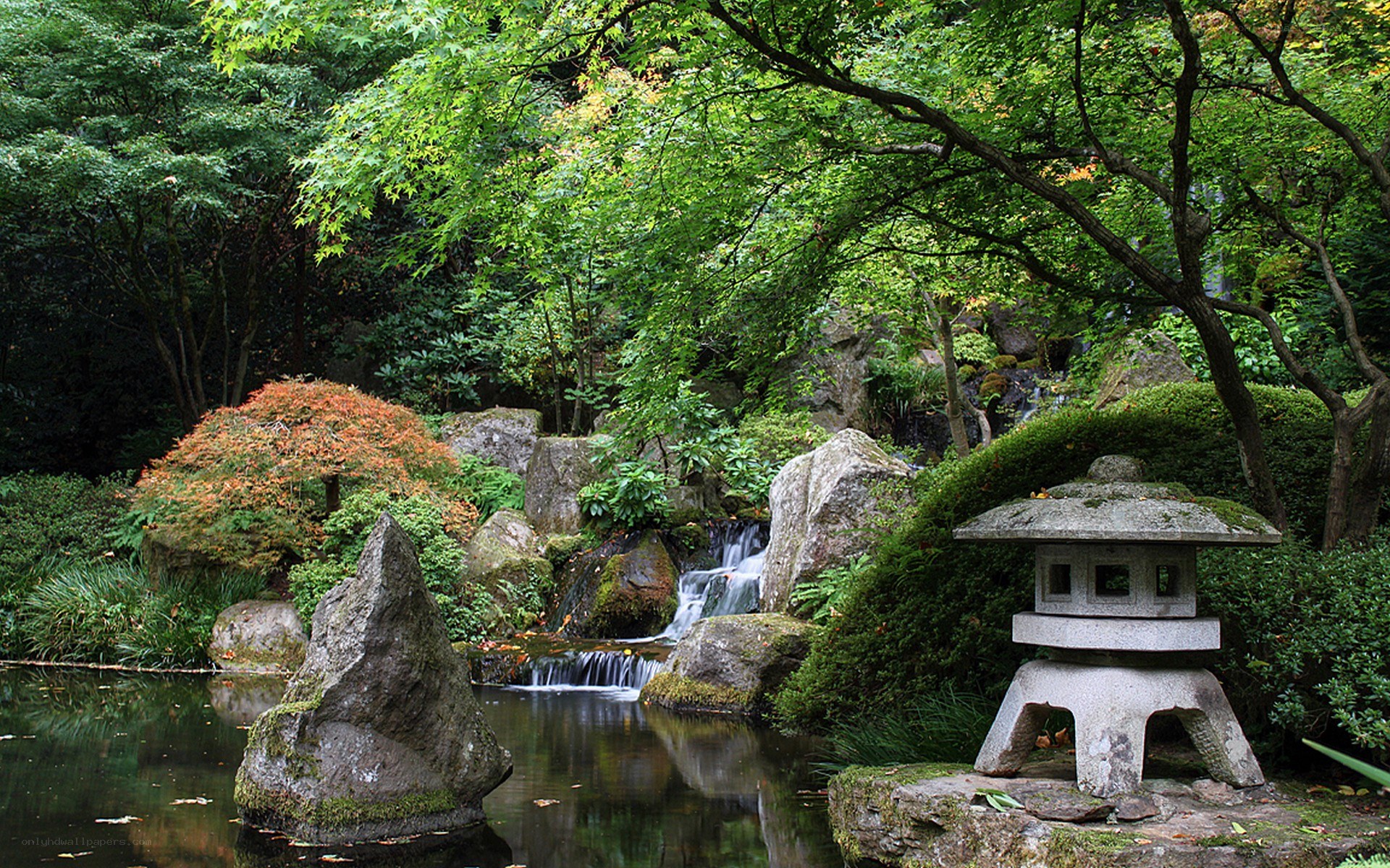 Japanese garden with waterfall