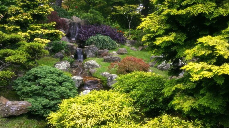 Japanese Garden with Waterfall — Green, Serene, Afternoon, Photograph