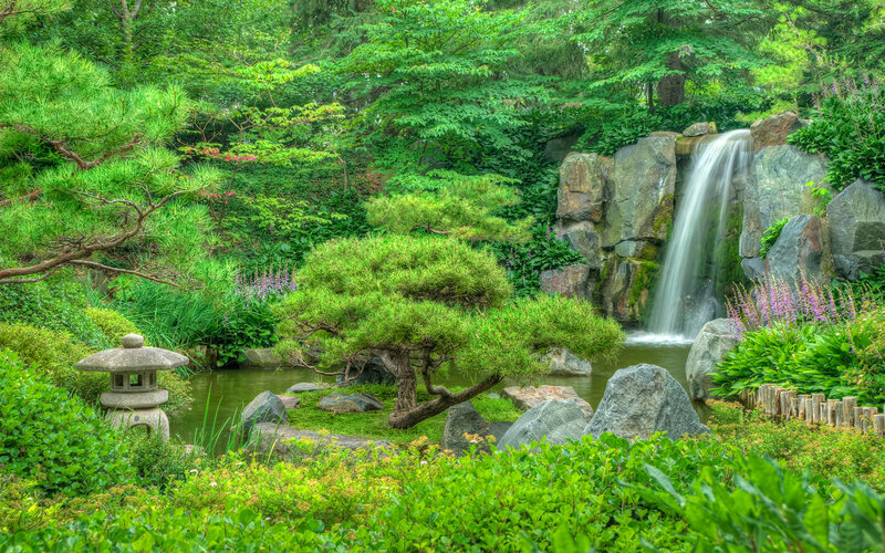 Japanese Garden with Waterfall — Green
