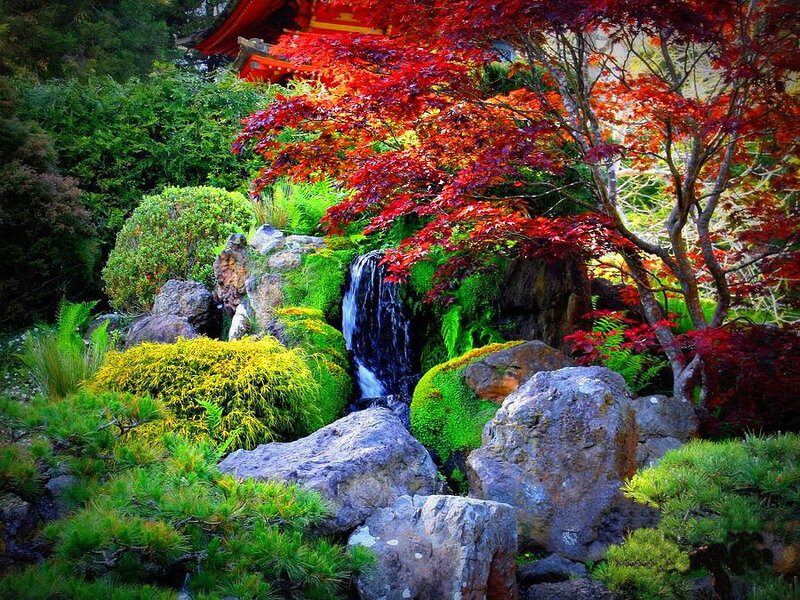 Japanese Garden with Waterfall — Red